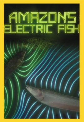 http://hostel.nstu.ru/films/Posters/73111812.jpg