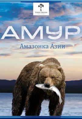 http://hostel.nstu.ru/films/Posters/73170297.jpg