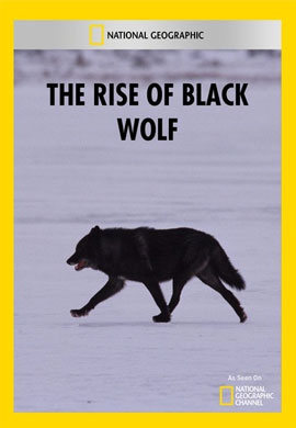 http://hostel.nstu.ru/films/Posters/73171816.jpg