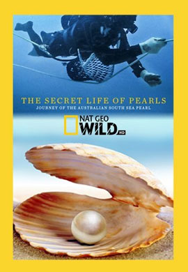 http://hostel.nstu.ru/films/Posters/73178529.jpg
