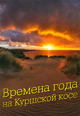 http://hostel.nstu.ru/films/Posters/73238858.jpg