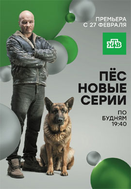 http://hostel.nstu.ru/films/Posters/73248802.jpg