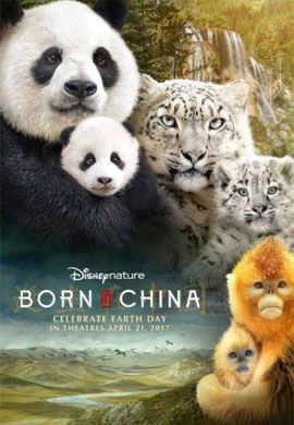 http://hostel.nstu.ru/films/Posters/73259011.jpg