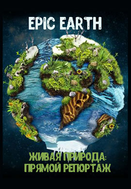 http://hostel.nstu.ru/films/Posters/73266922.jpg