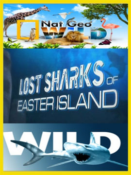 http://hostel.nstu.ru/films/Posters/73283617.jpg