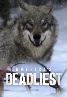 http://hostel.nstu.ru/films/Posters/73290100.jpg
