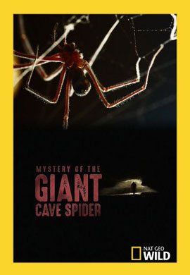 http://hostel.nstu.ru/films/Posters/73292934.jpg