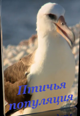 http://hostel.nstu.ru/films/Posters/73334195.jpg