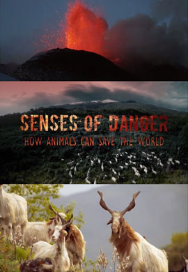 http://hostel.nstu.ru/films/Posters/73379820.jpg