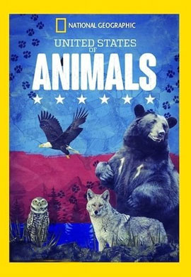 http://hostel.nstu.ru/films/Posters/73381832.jpg