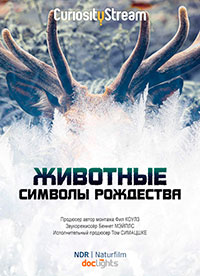 http://hostel.nstu.ru/films/Posters/74513481.jpg