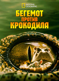 http://hostel.nstu.ru/films/Posters/74609937.jpg