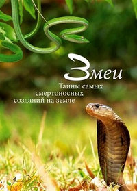 http://hostel.nstu.ru/films/Posters/74621220.jpg