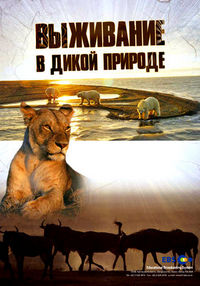 http://hostel.nstu.ru/films/Posters/74632187.jpg