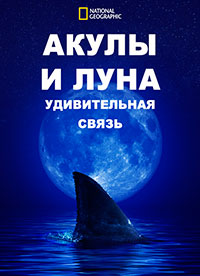 http://hostel.nstu.ru/films/Posters/74672874.jpg