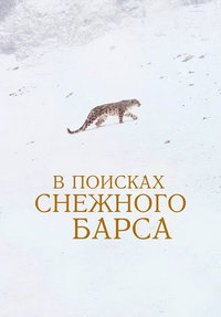 http://hostel.nstu.ru/films/Posters/74729643.jpg