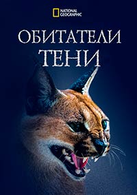http://hostel.nstu.ru/films/Posters/74824764.jpg
