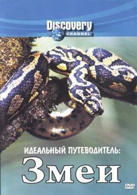 http://hostel.nstu.ru/films/Posters/988470.jpg
