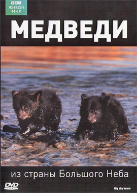 http://hostel.nstu.ru/films/Posters/9971.jpg